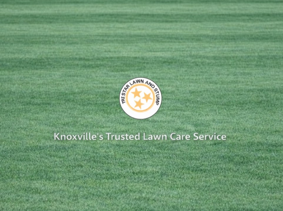 Tri Star Lawn & Stump crew member mowing a residential lawn