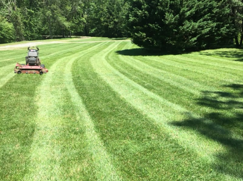 Freshly mowed lawn with clean mowing lines