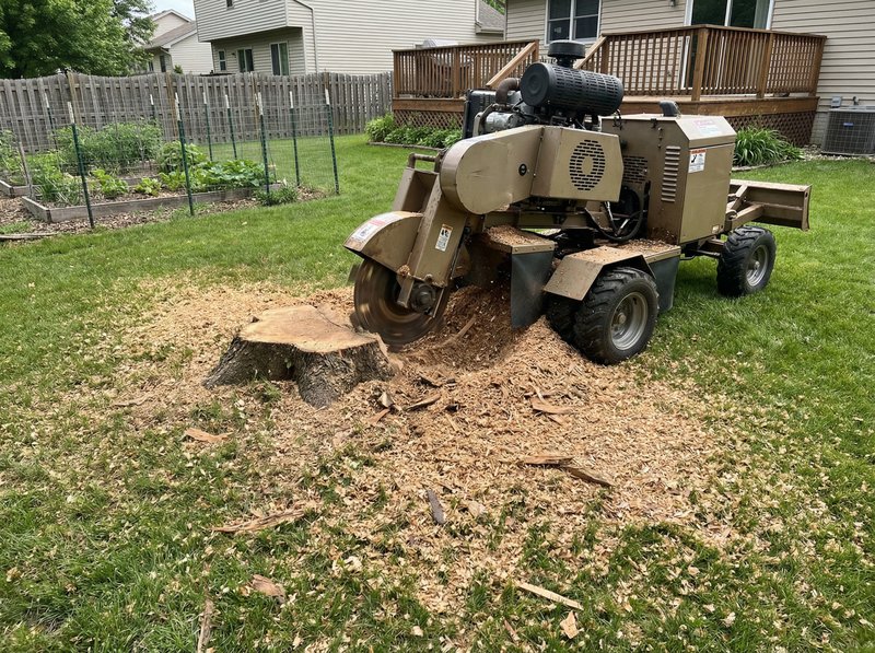 Stump grinder machine removing a large tree stump